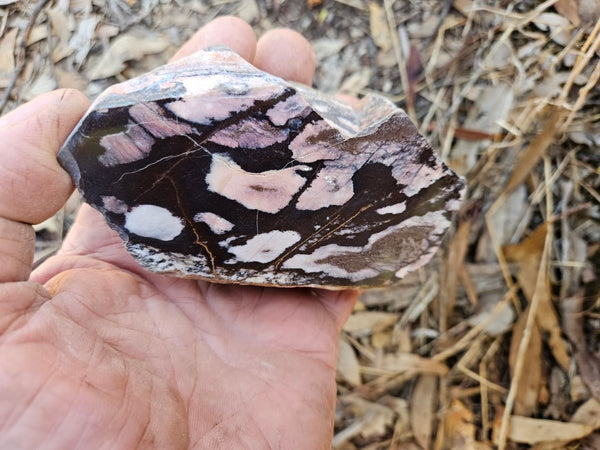 Polished Outback Jasper  OJ192