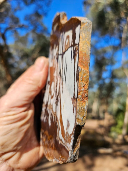 Polished Outback Jasper slab OJ194
