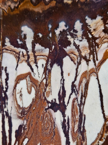 Polished Outback Jasper slab OJ194