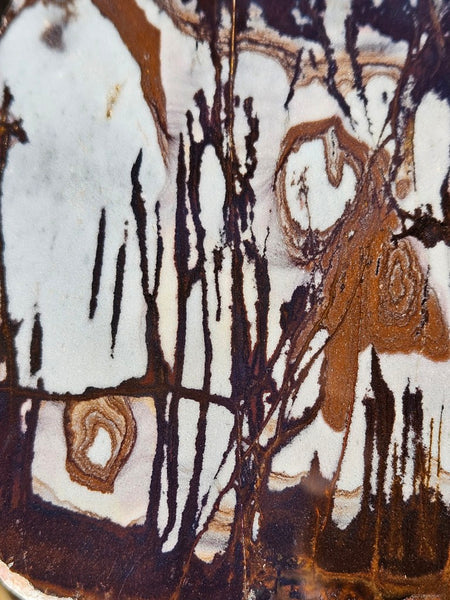 Polished Outback Jasper slab OJ194