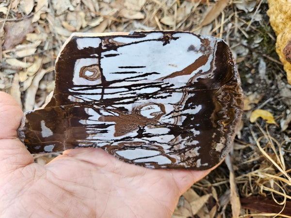 Polished Outback Jasper slab OJ194
