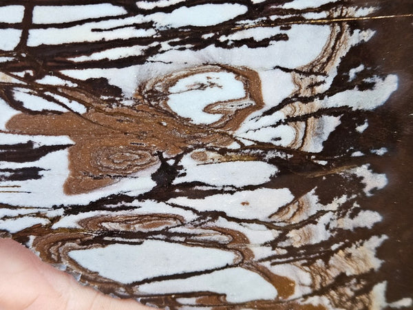 Polished Outback Jasper slab OJ194