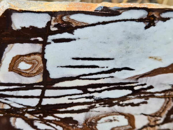 Polished Outback Jasper slab OJ194