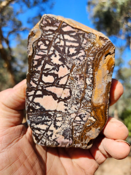 Polished Outback Jasper  OJ193
