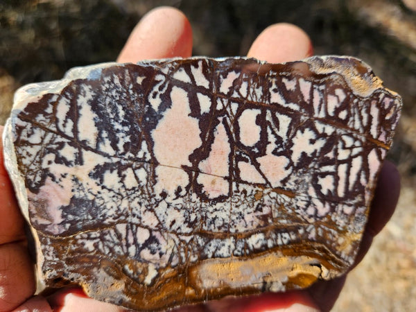 Polished Outback Jasper  OJ193