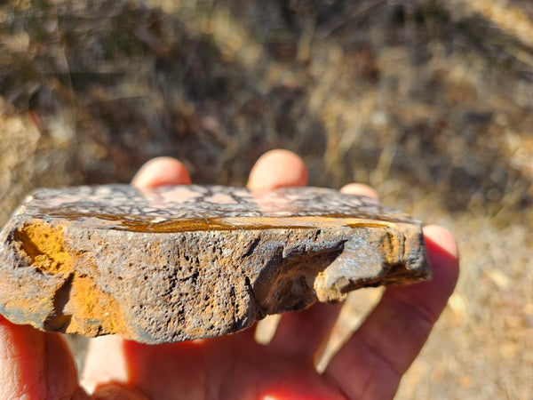 Polished Outback Jasper  OJ193