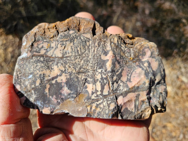 Polished Outback Jasper  OJ193