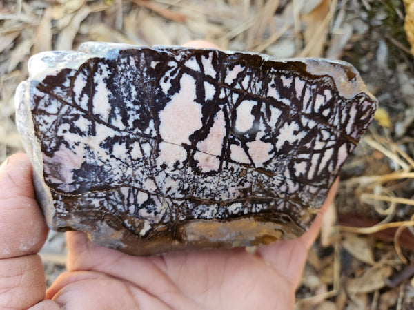 Polished Outback Jasper  OJ193
