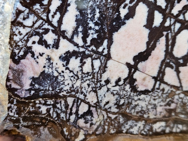 Polished Outback Jasper  OJ193