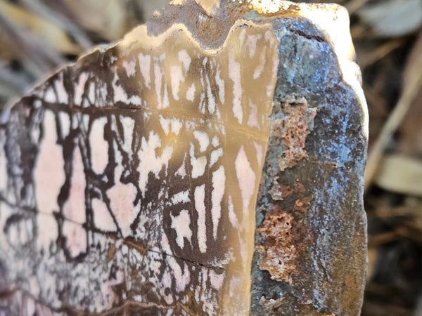 Polished Outback Jasper  OJ193