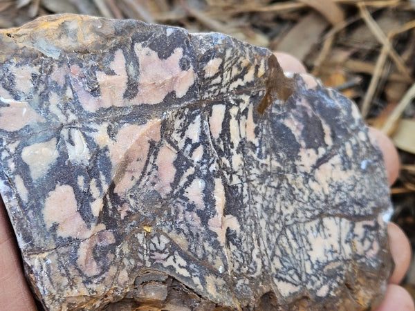 Polished Outback Jasper  OJ193