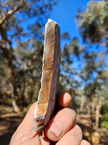 Polished Outback Jasper slab OJ195