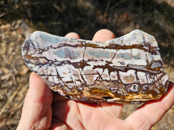 Polished Outback Jasper slab OJ195