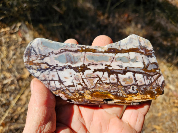 Polished Outback Jasper slab OJ195