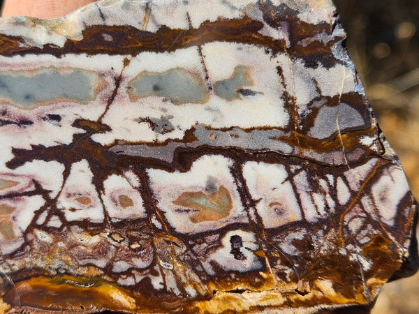 Polished Outback Jasper slab OJ195