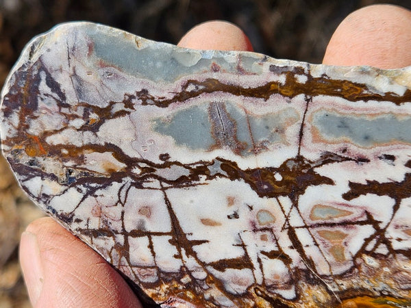 Polished Outback Jasper slab OJ195