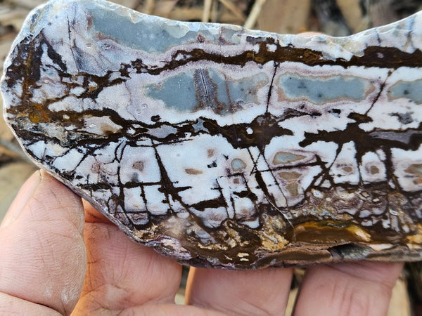 Polished Outback Jasper slab OJ195