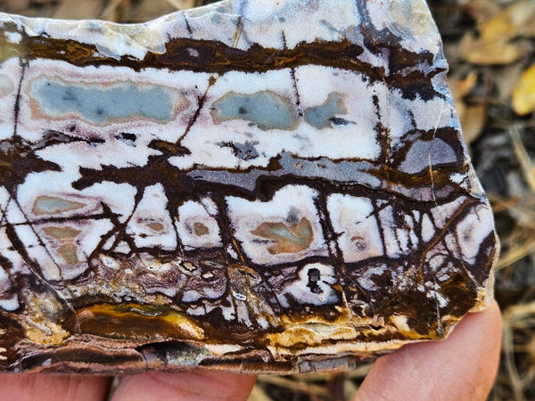 Polished Outback Jasper slab OJ195