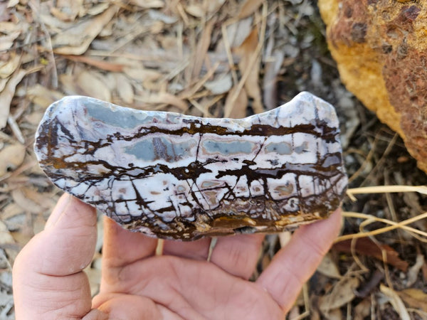 Polished Outback Jasper slab OJ195