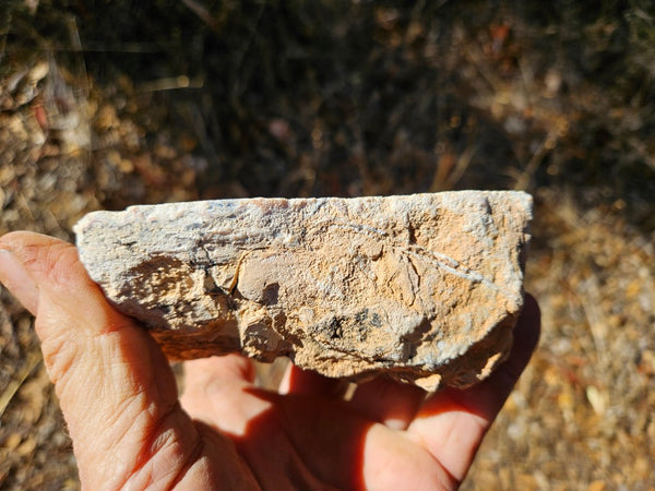 Chalcedony  PC131