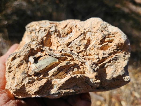 Chalcedony  PC131