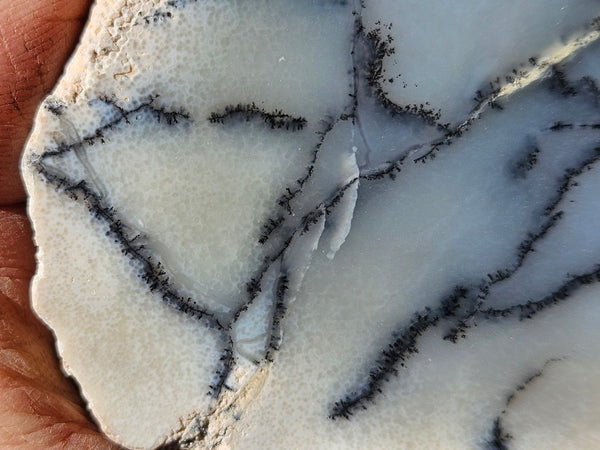 Chalcedony  PC131