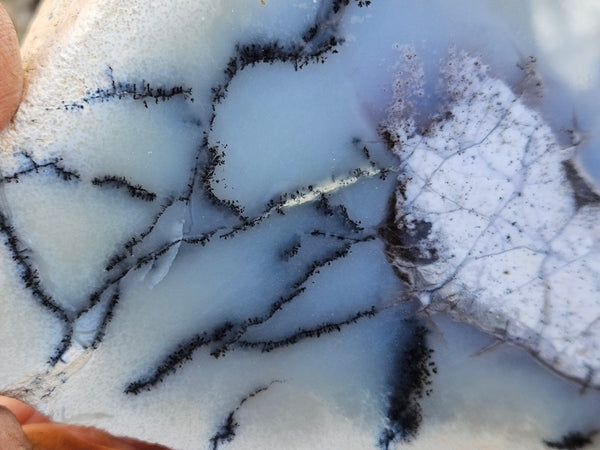 Chalcedony  PC131