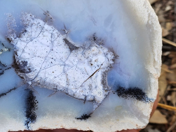 Chalcedony  PC131