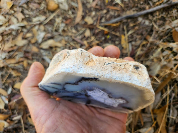 Chalcedony  PC131