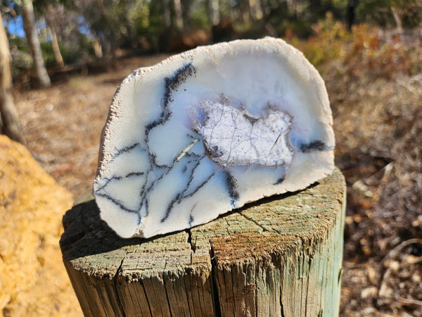 Chalcedony  PC131