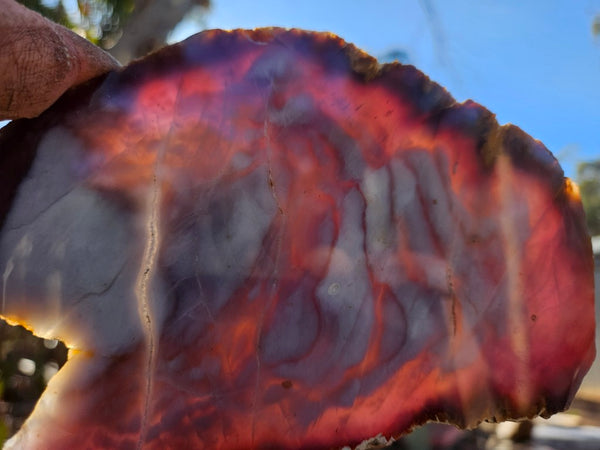 Purple Chalcedony polished slab. PU155