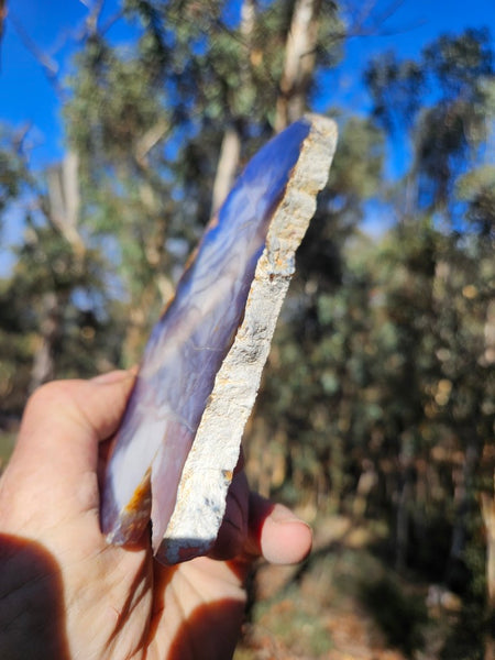Purple Chalcedony polished slab. PU155