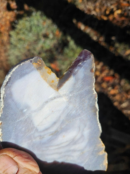 Purple Chalcedony polished slab. PU155