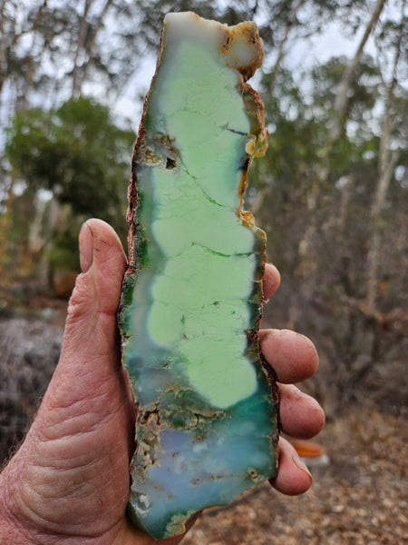 Polished Magnesite slab. MAP217