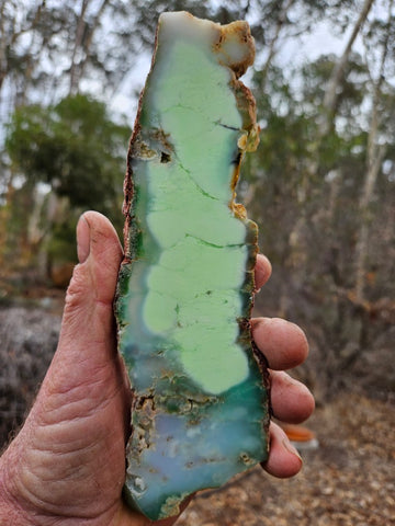 Polished Magnesite slab. MAP217