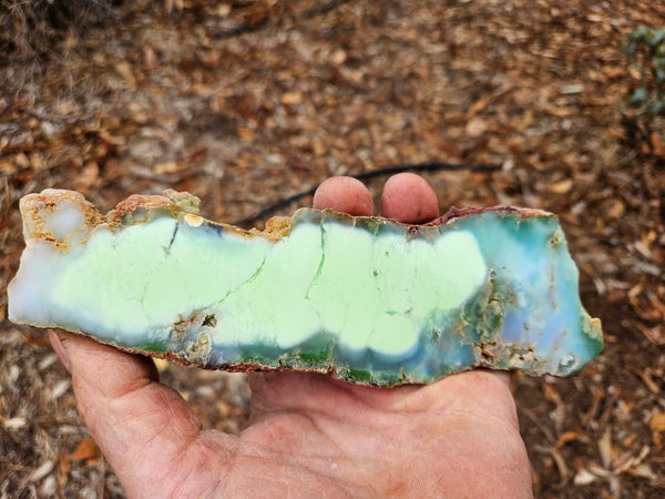 Polished Magnesite slab. MAP217