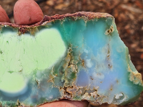 Polished Magnesite slab. MAP217