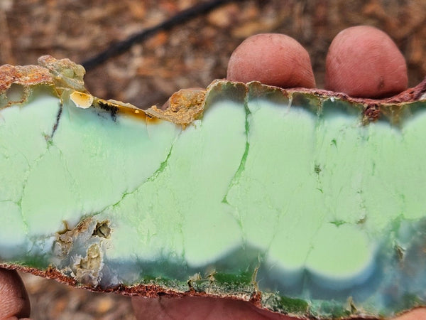 Polished Magnesite slab. MAP217