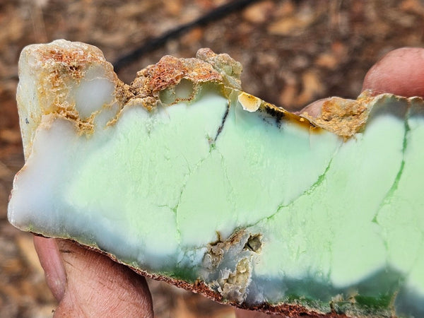 Polished Magnesite slab. MAP217