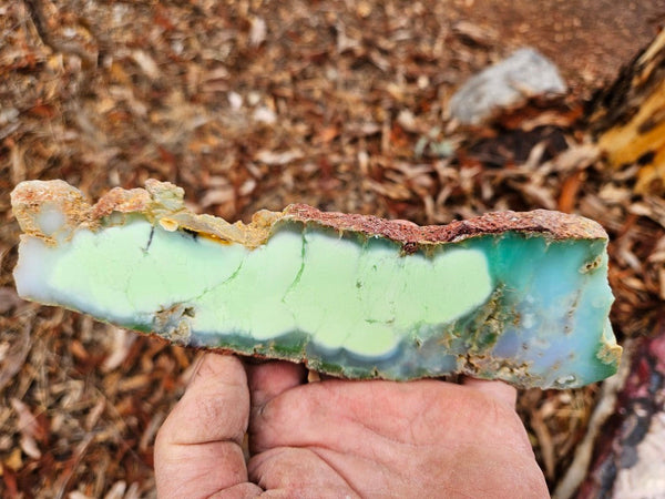 Polished Magnesite slab. MAP217