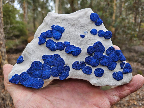 Azurite Sun  AZ156