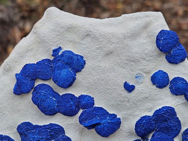 Azurite Sun  AZ156