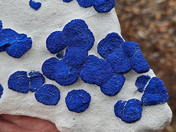 Azurite Sun  AZ156