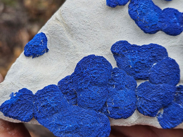 Azurite Sun  AZ156