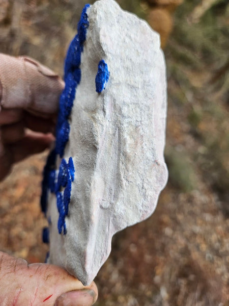 Azurite Sun  AZ156
