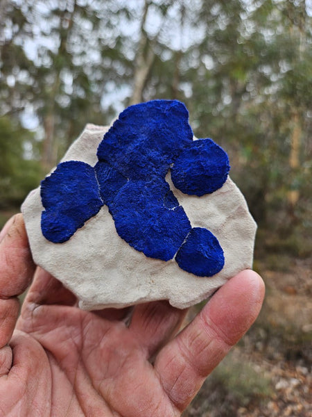 Azurite Sun  AZ157