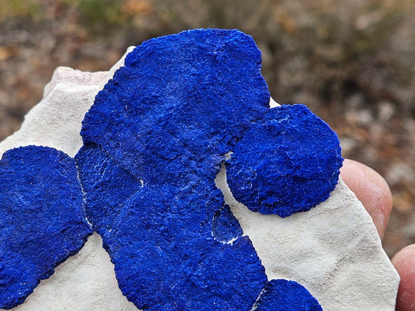 Azurite Sun  AZ157