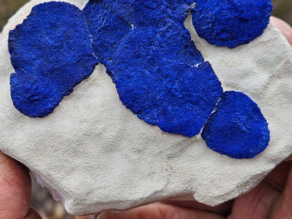 Azurite Sun  AZ157