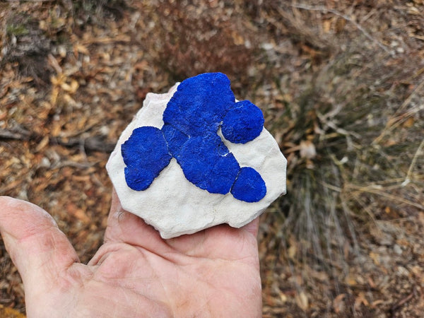 Azurite Sun  AZ157