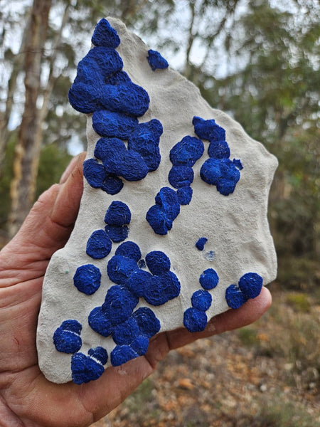 Azurite Sun  AZ156
